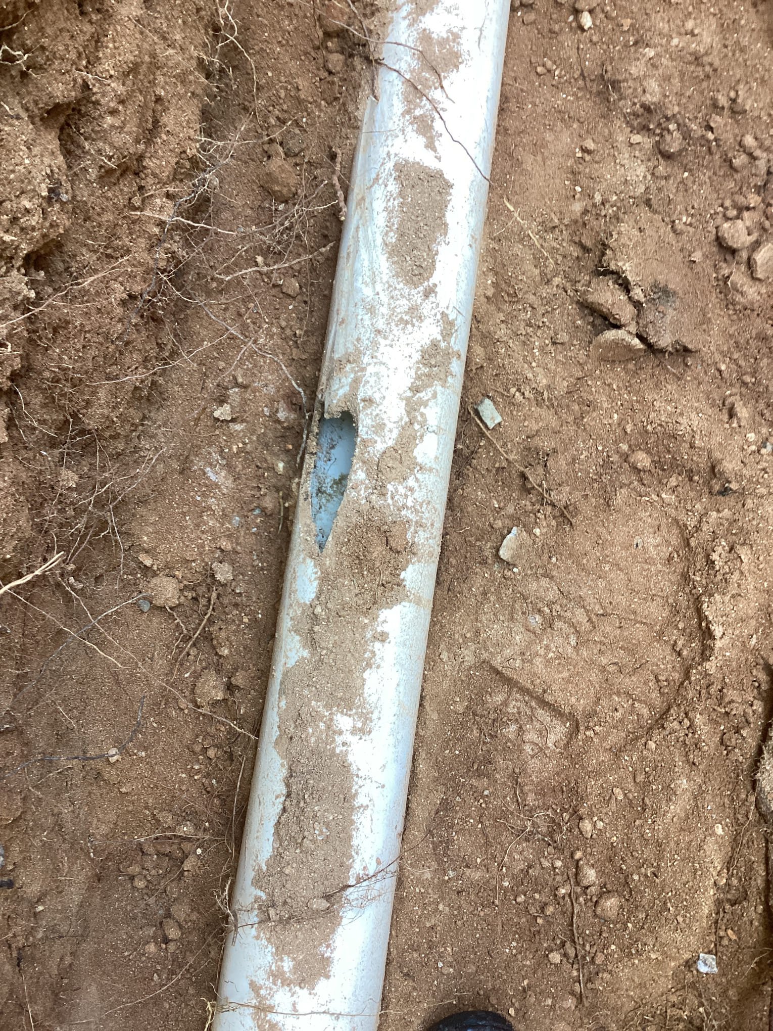 A broken sewer line that needs quick sewer line repair