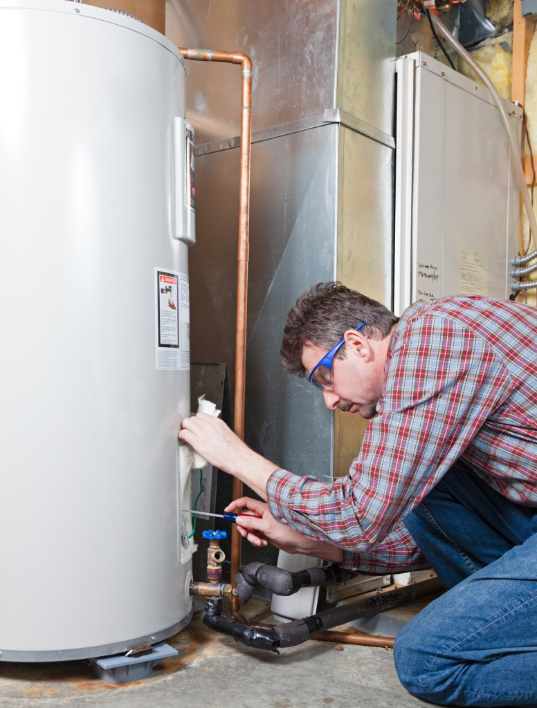 Professional plumber conducting annual plumbing maintenance services
