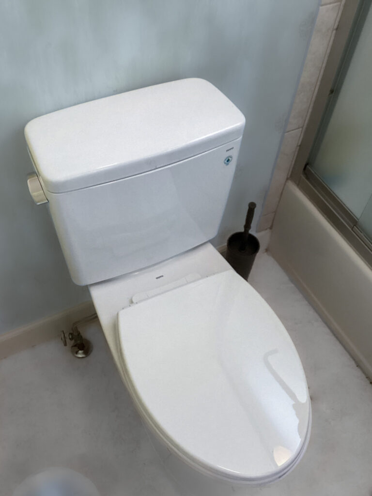 Toilet replacement in Duluth