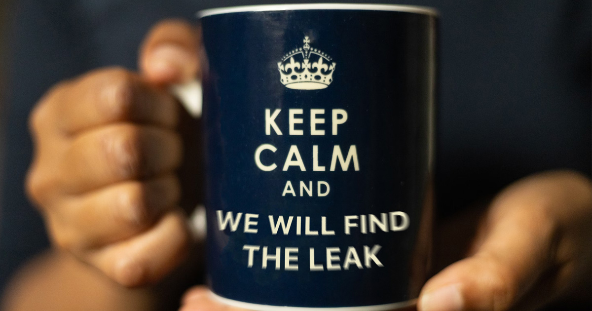 Are You Ignoring These Warning Signs? The Hidden Dangers of Leaky Pipes and the Importance of Leak Detection Services