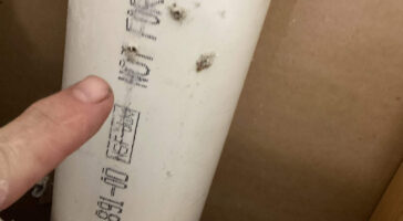 leak in a drain line in the wall