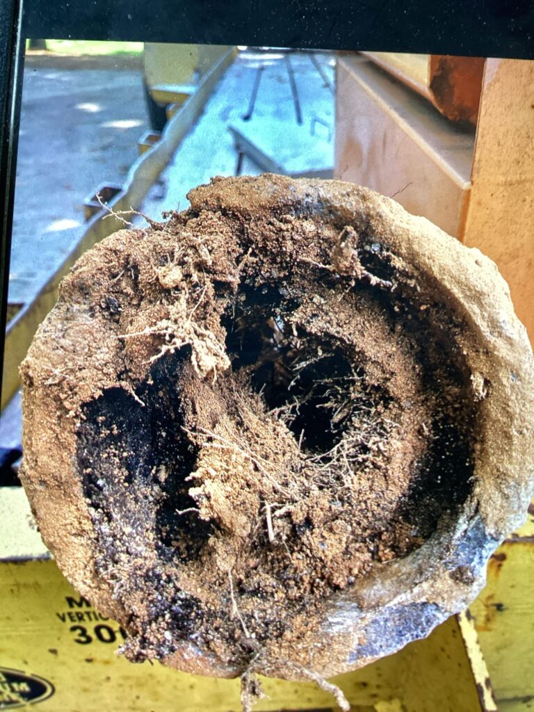 If you're wondering how to clear a main sewer line clog yourself, understand this is the type of clogged pipe you may be dealing with
