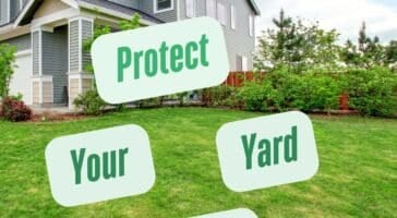 trenchless water line replacement - how to protect your yard