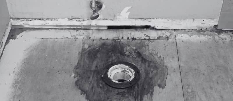 a photo of a current project mid sewage damage cleanup