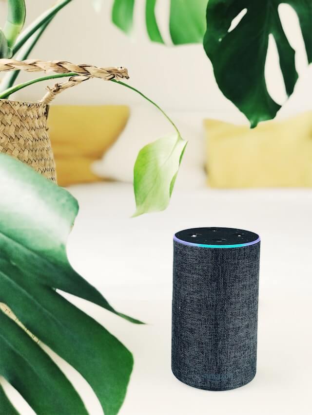homeowner using Alexa for plumbing or HVAC advice