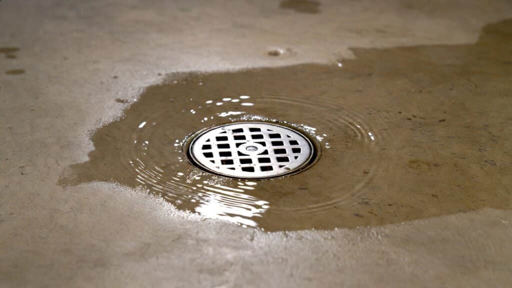 a basement drain backup
