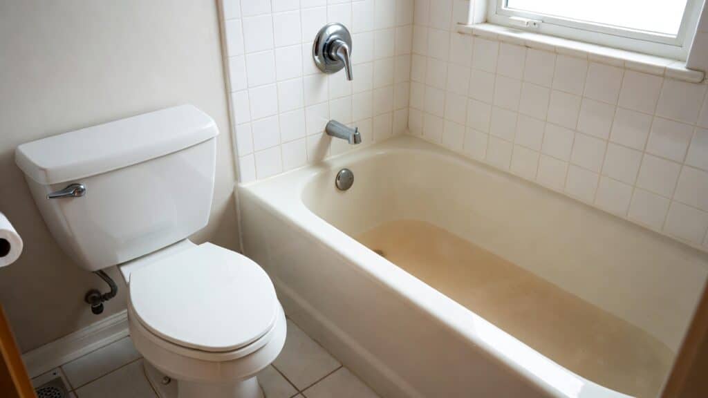 a toilet backing up into the shower
