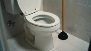 a toilet won't unclog with a plunger next to the toilet