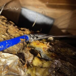 cracked polybutylene pipe leak Lawrenceville