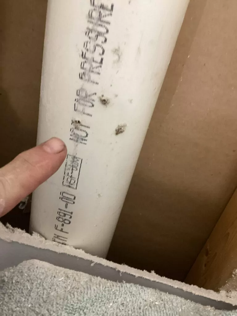 leak in a drain line in the wall
